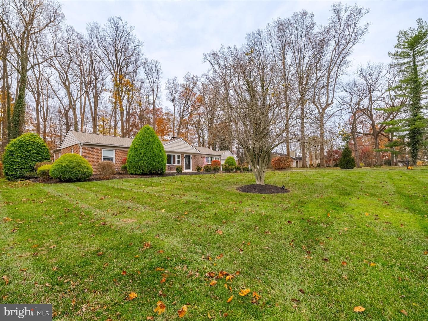 705 Potter Drive photo 8