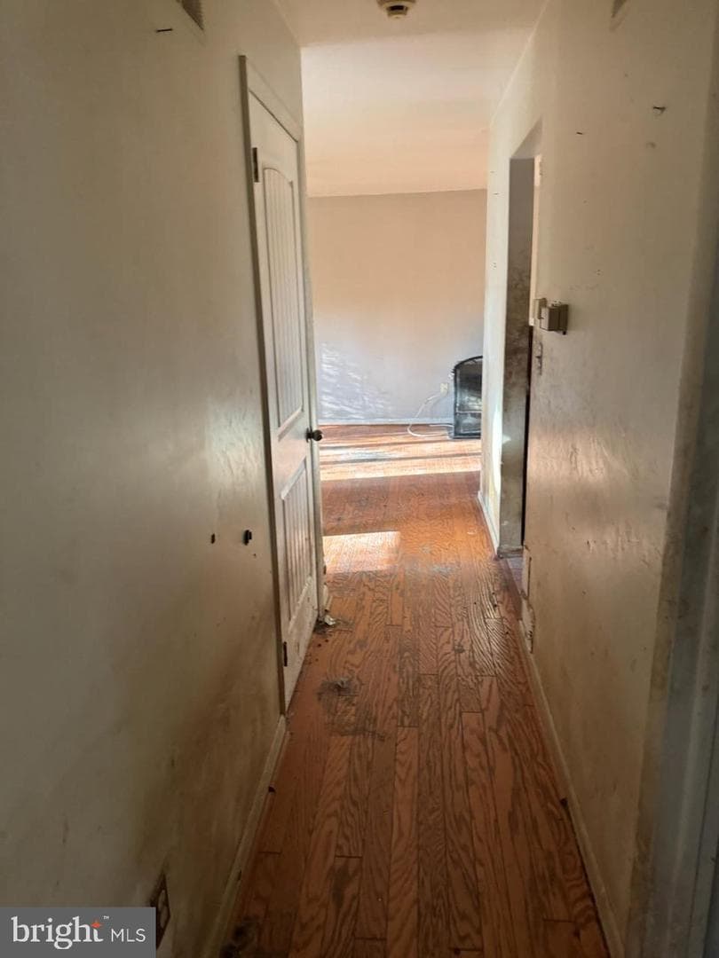 294 Cambridge Road photo 10