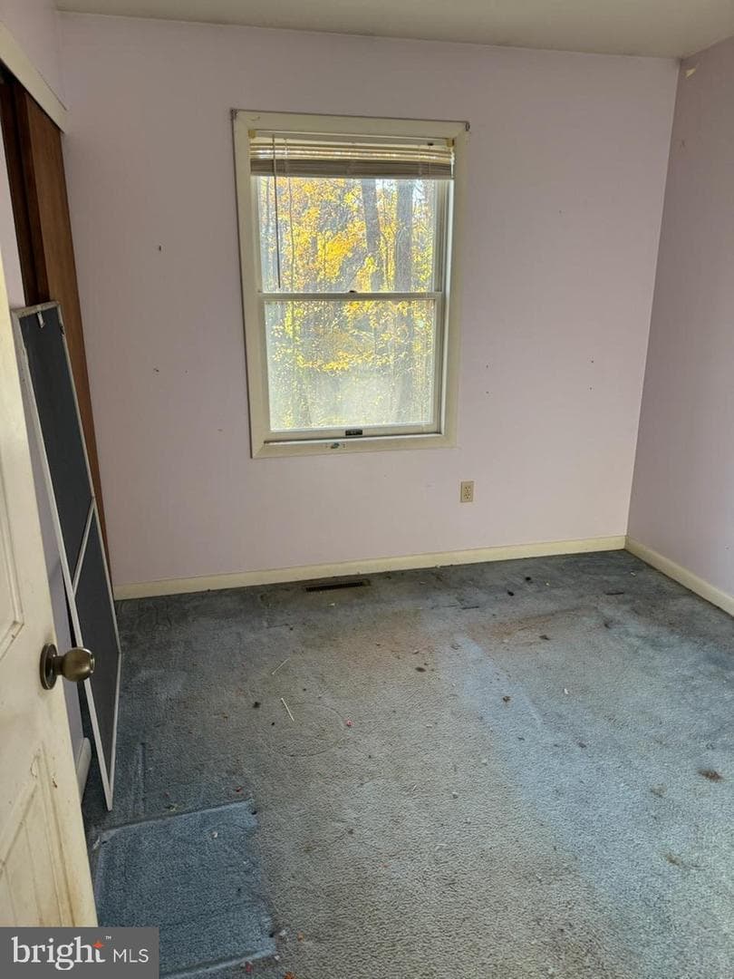 294 Cambridge Road photo 12