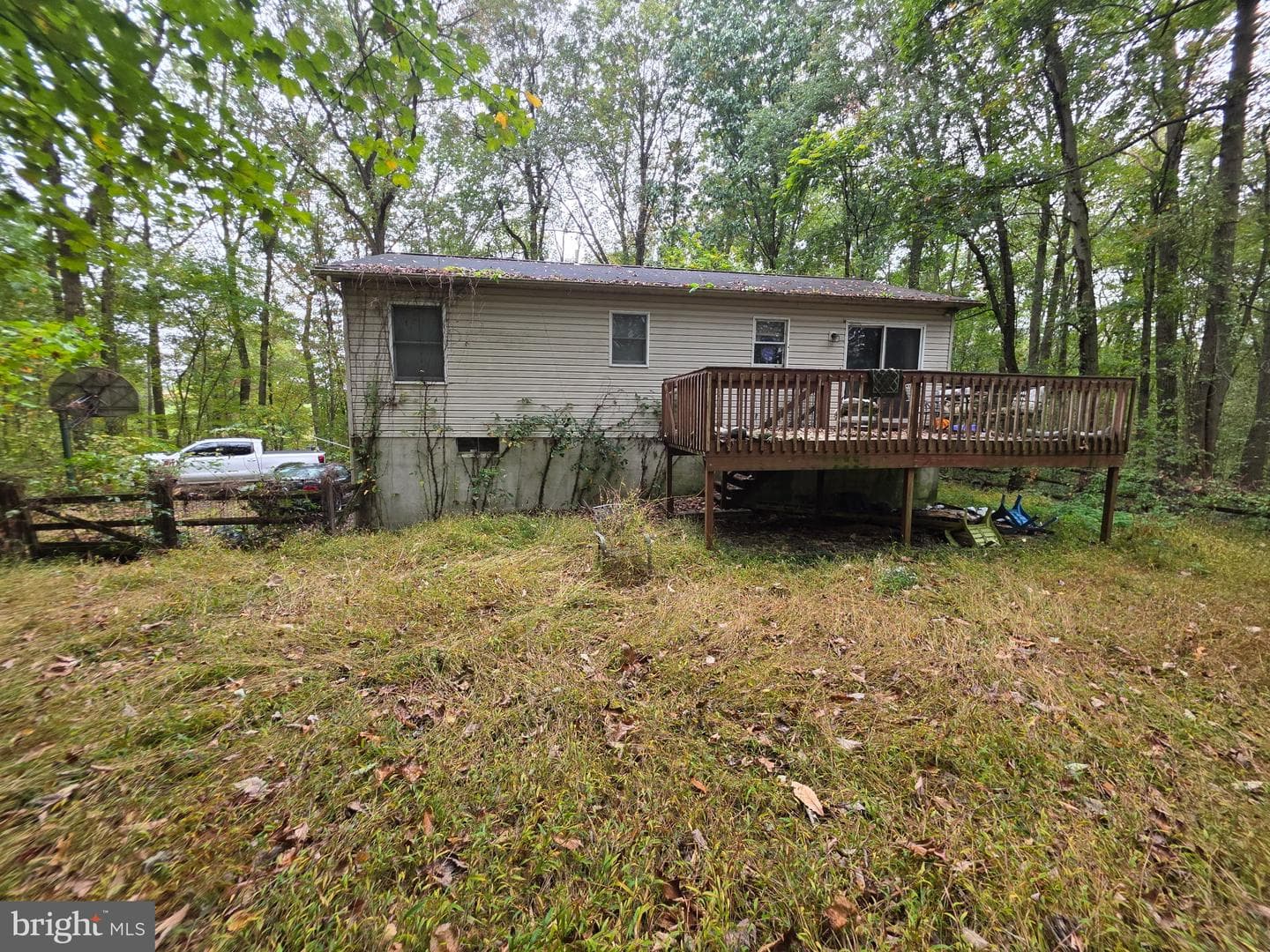 294 Cambridge Road photo 15