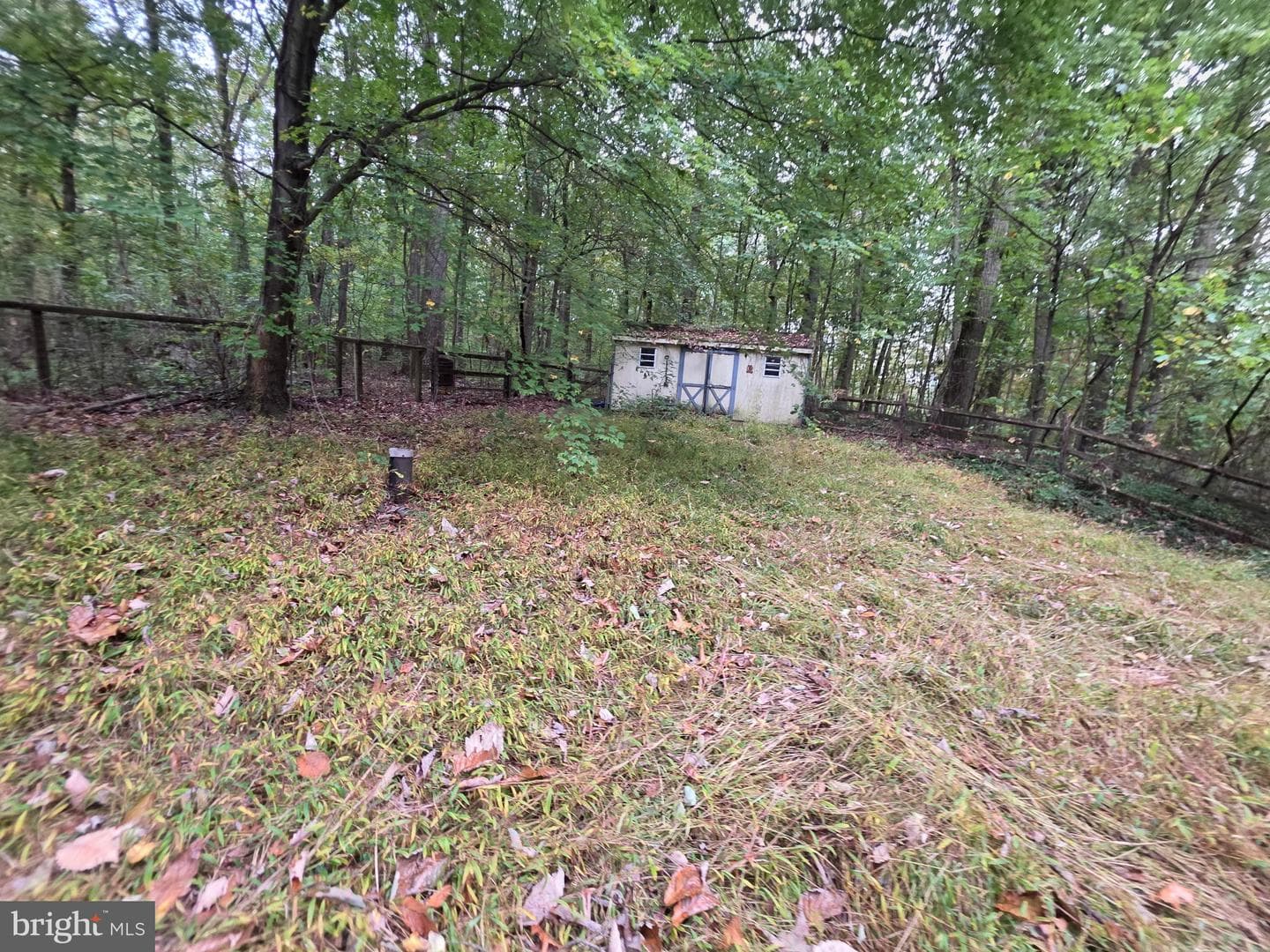 294 Cambridge Road photo 16