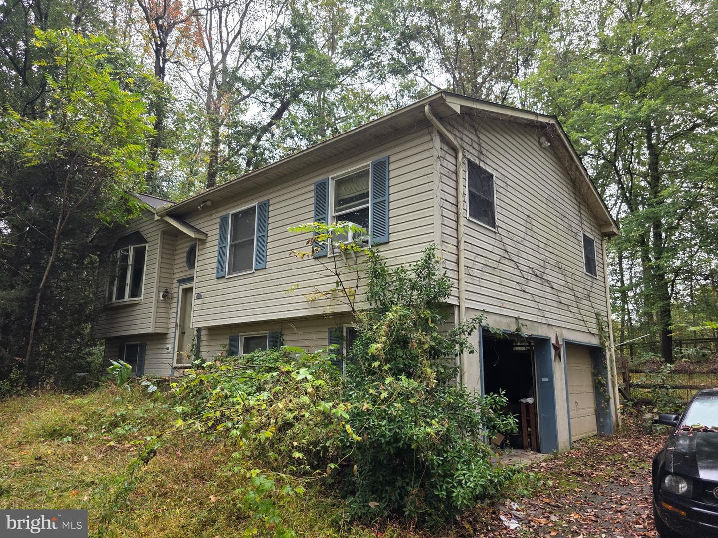 294 Cambridge Road photo 2