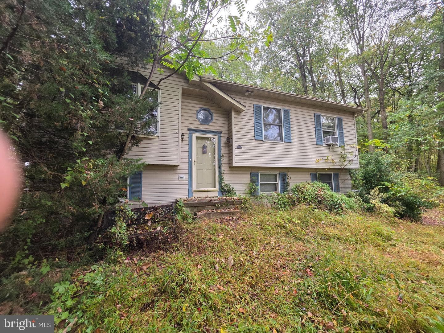 294 Cambridge Road photo 3