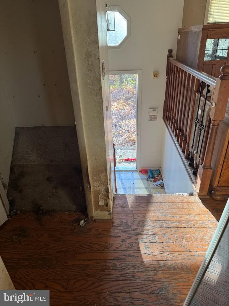 294 Cambridge Road photo 4