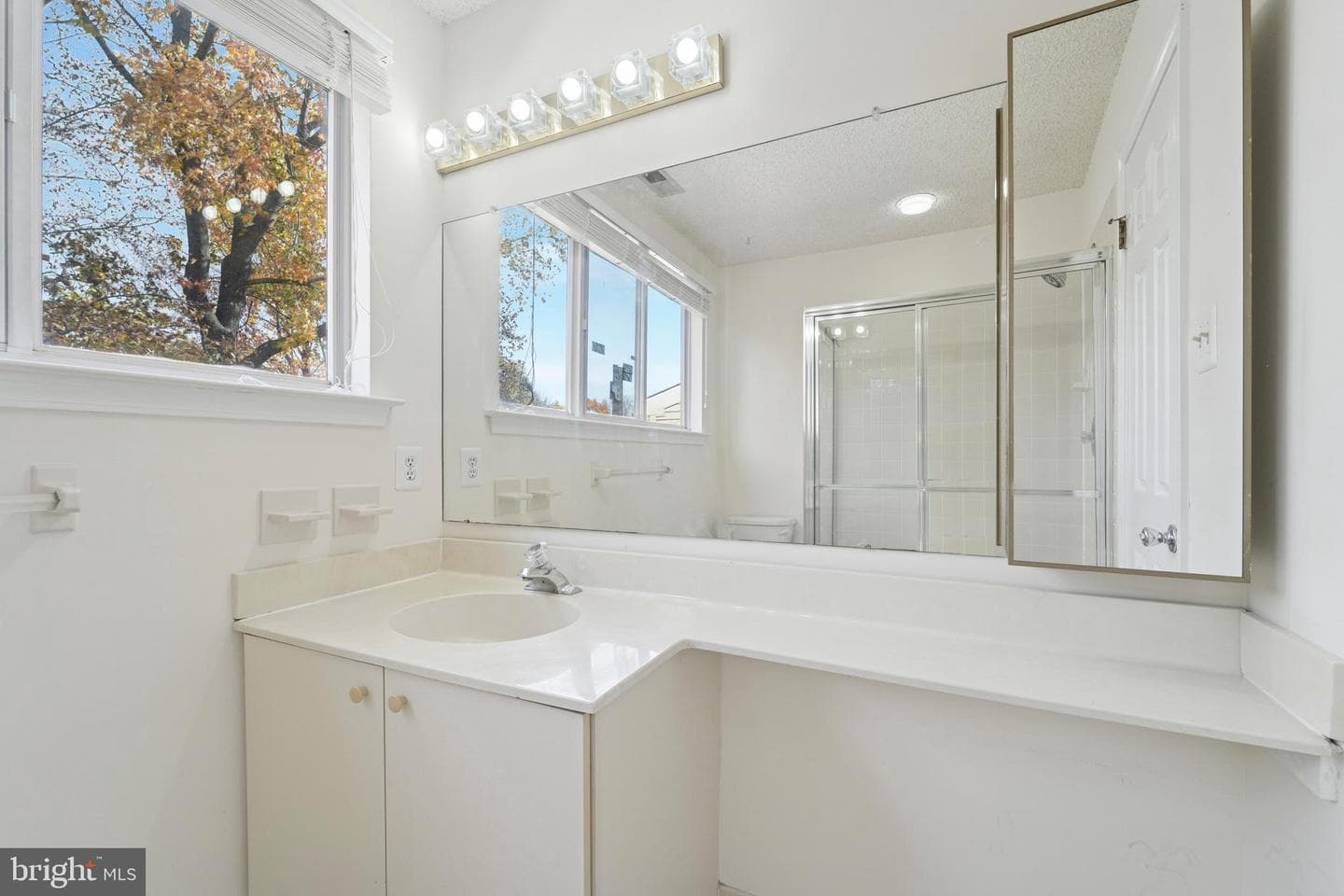 413 Cannon Court #413 photo 9
