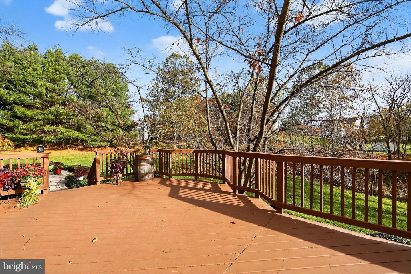 19 Angelica Drive photo 33