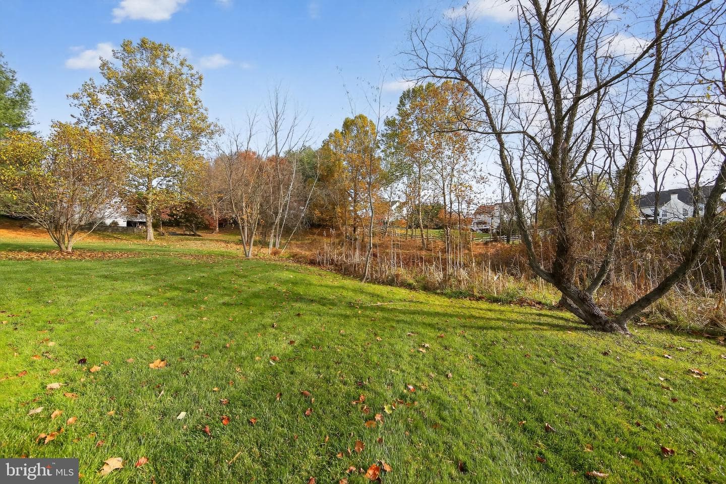 19 Angelica Drive photo 40