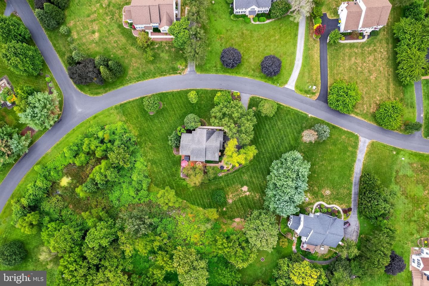 19 Angelica Drive photo 43