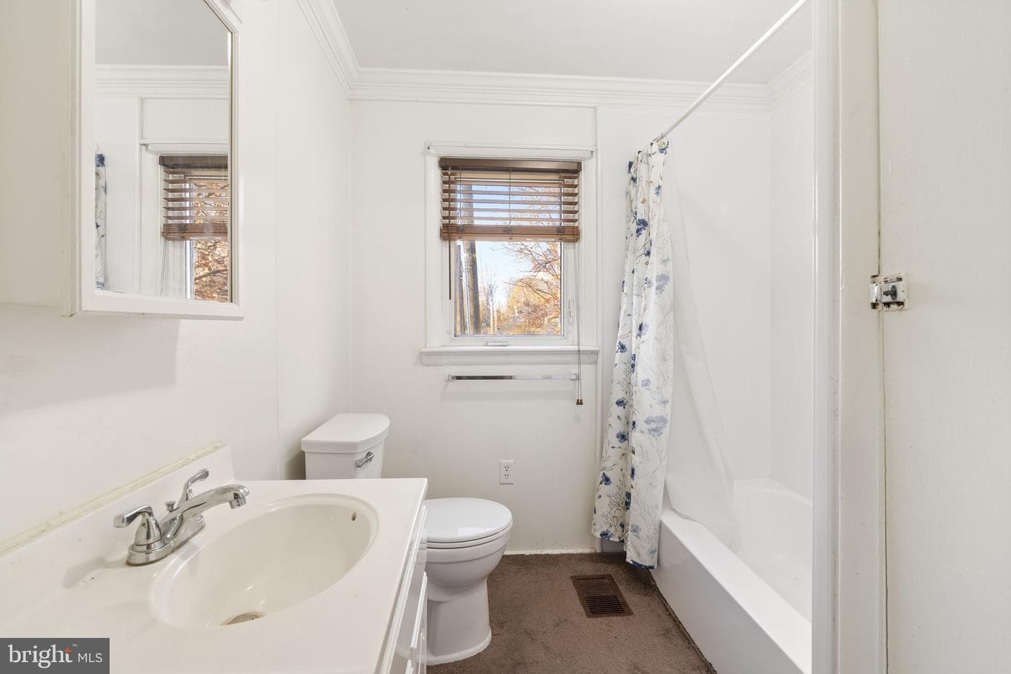 198 Glenrose Road photo 22