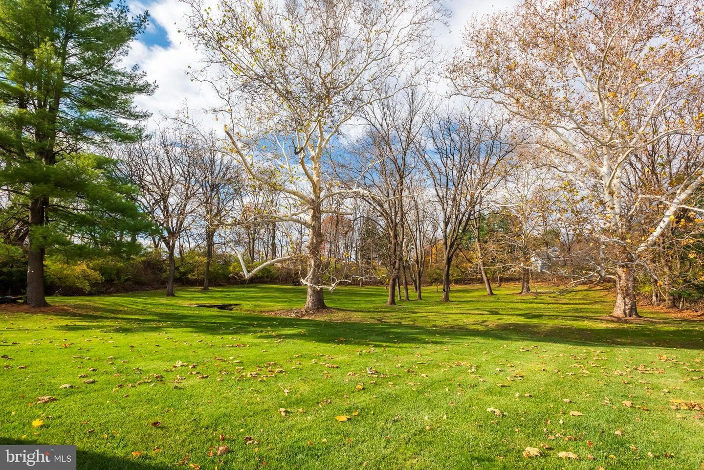 2175 W Swedesford Road photo 39