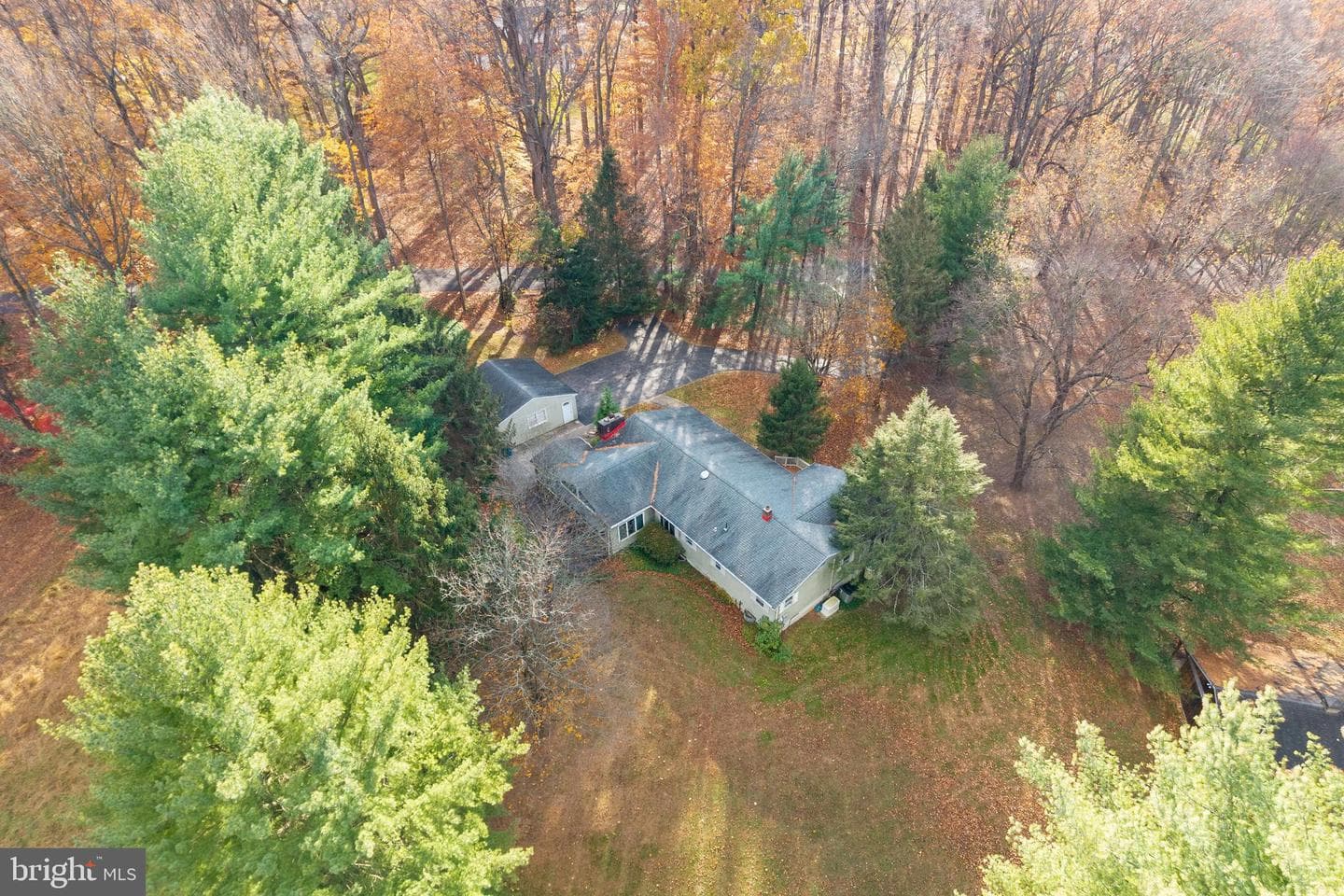 741 Haines Mill Road photo 4