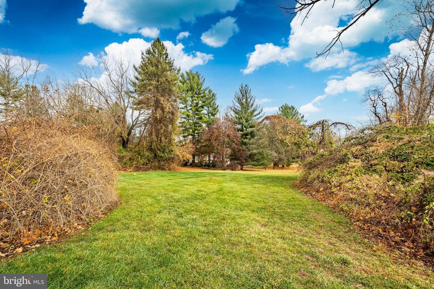 504 Kennett Pike photo 64