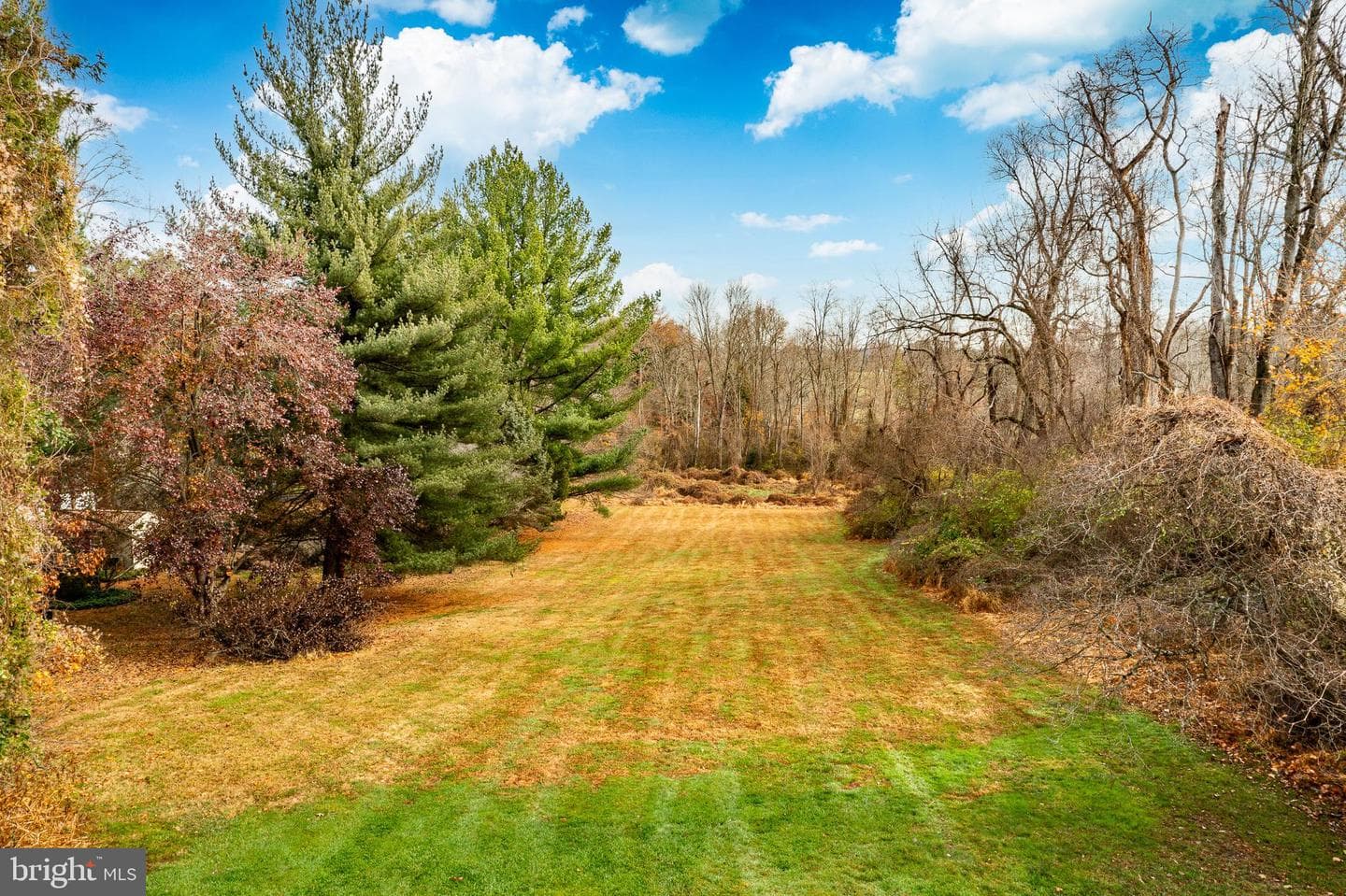 504 Kennett Pike photo 65