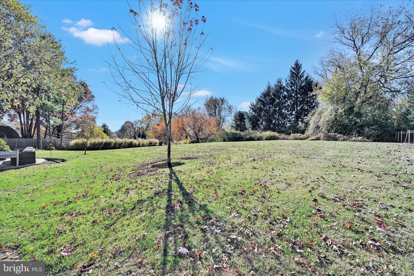 206 Marie Road photo 43