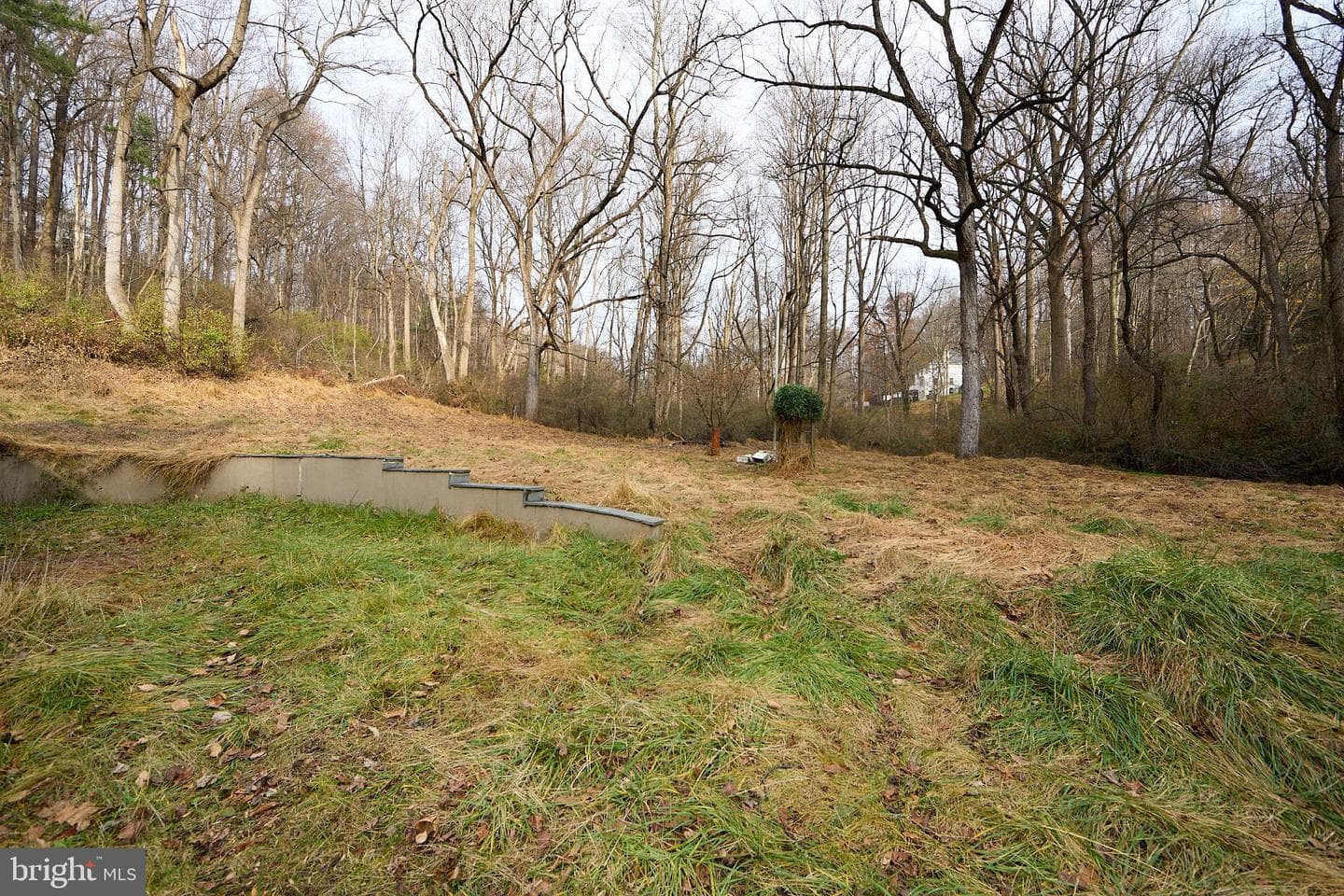 329 Laurel Woods Road photo 40