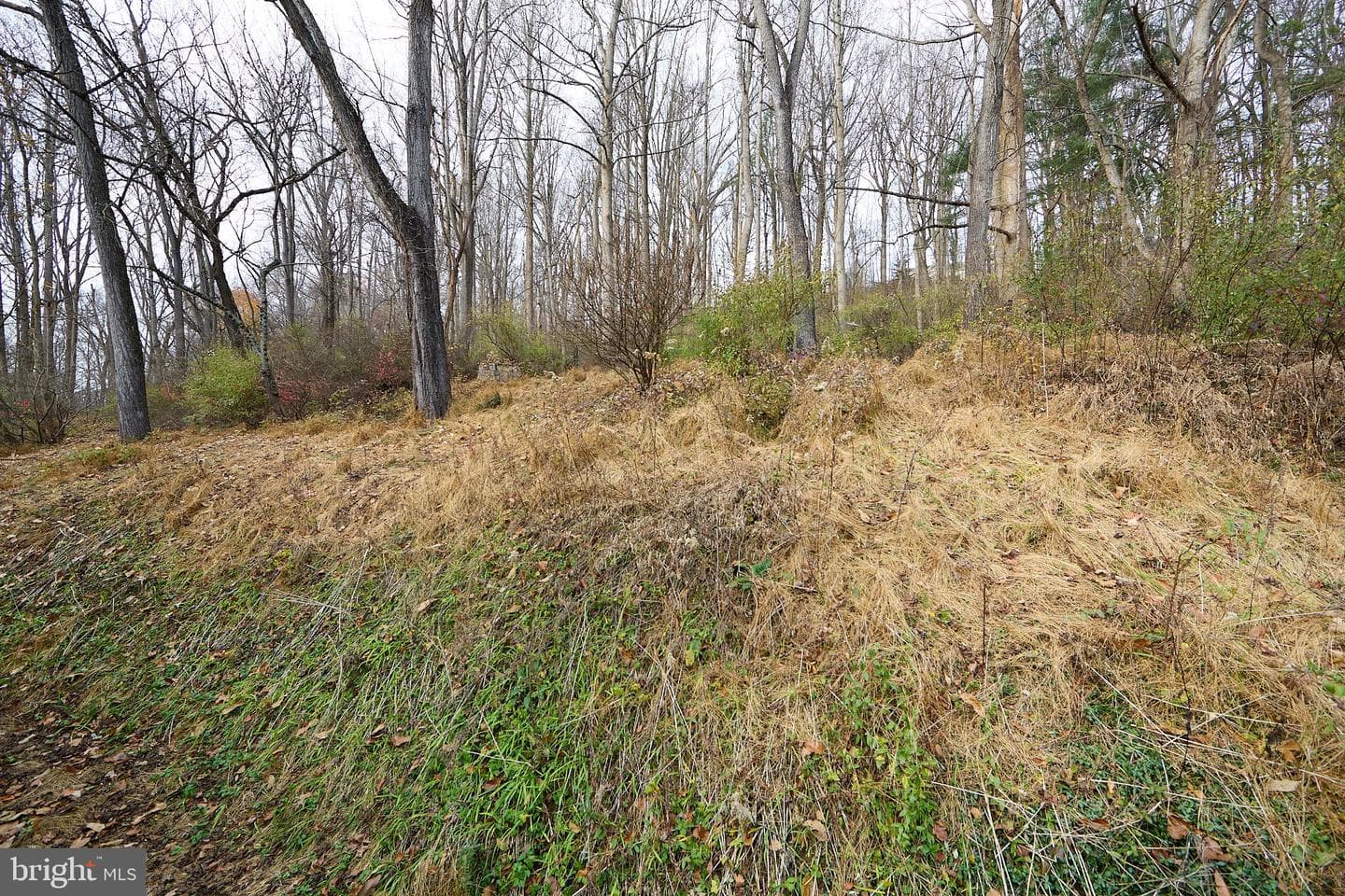 329 Laurel Woods Road photo 43