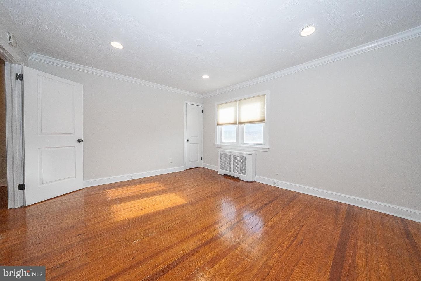 339 William Street photo 20