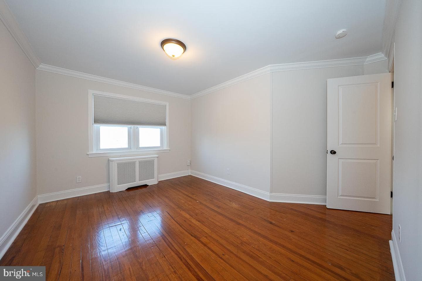 339 William Street photo 26
