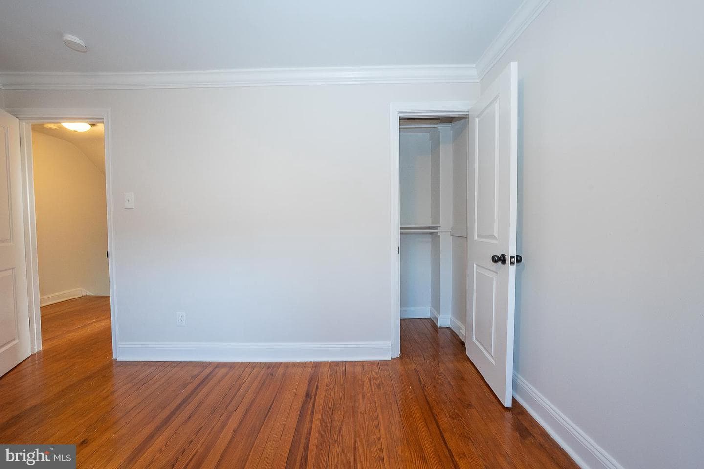 339 William Street photo 27
