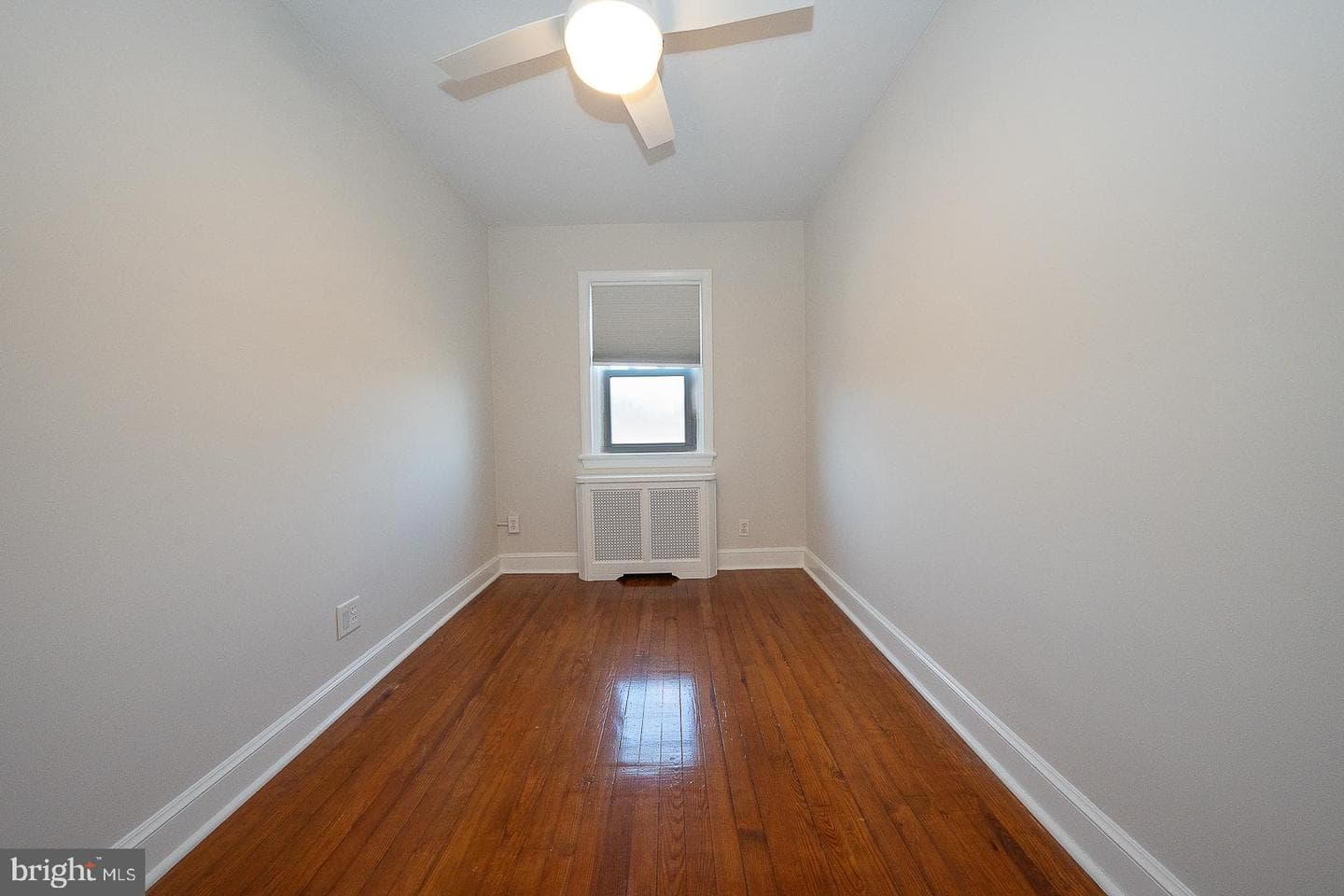 339 William Street photo 28