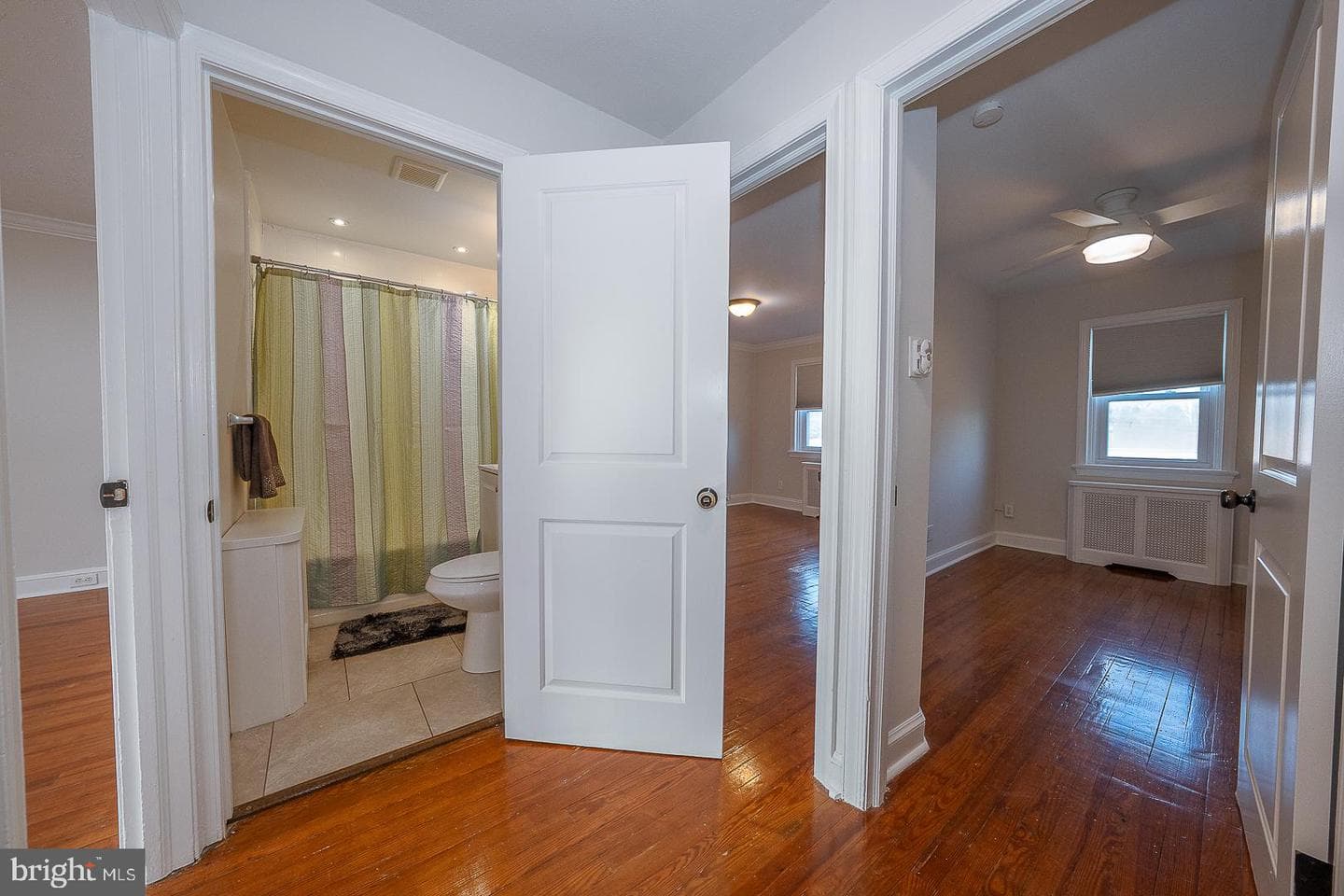 339 William Street photo 30