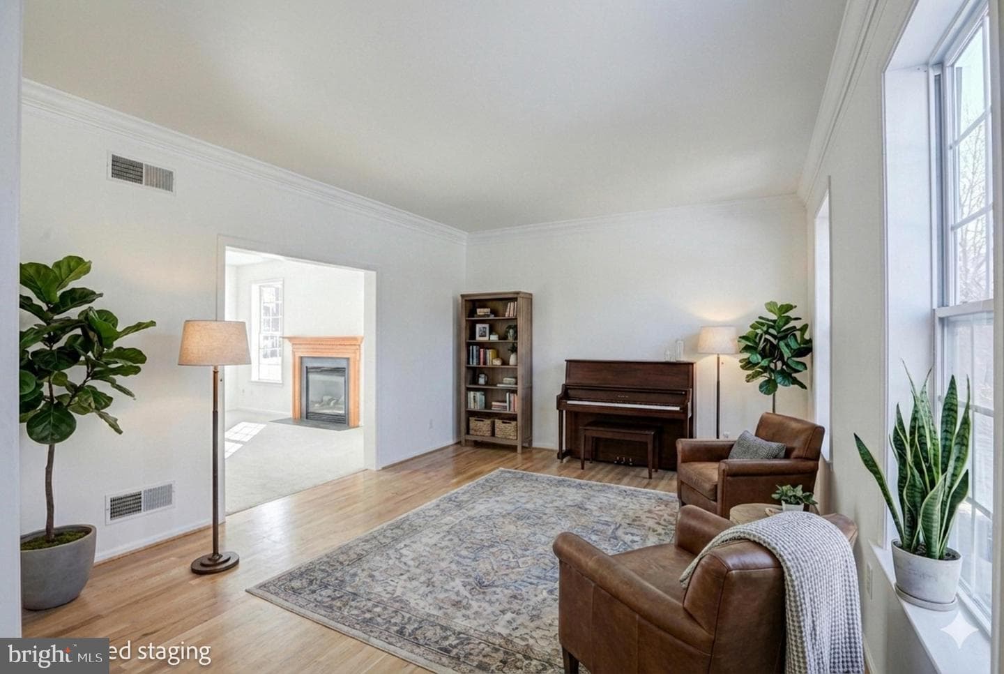 125 Cromwell Drive photo 14