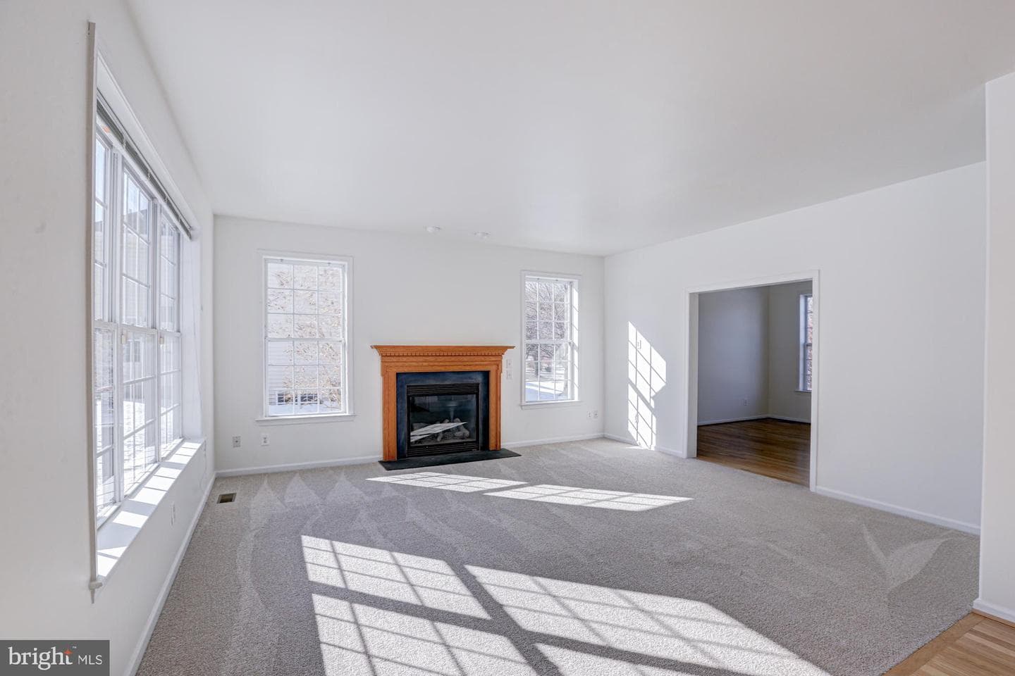 125 Cromwell Drive photo 23