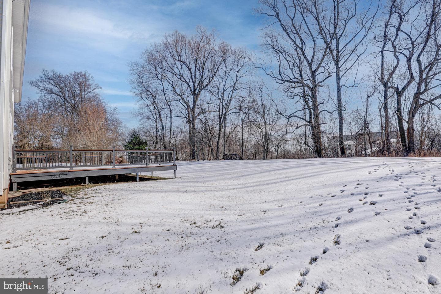 125 Cromwell Drive photo 51