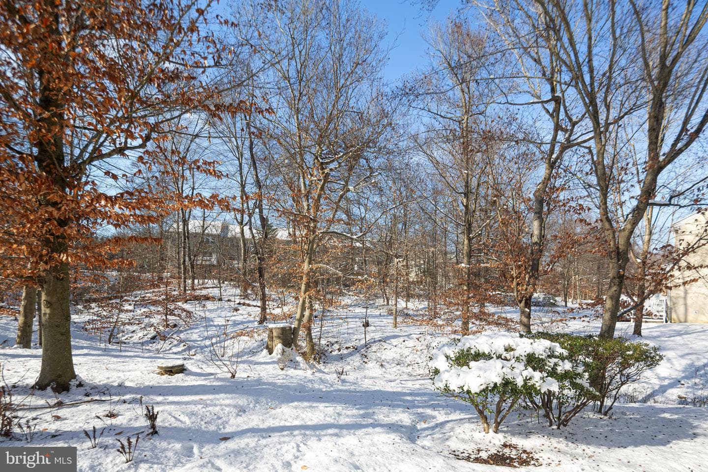 99 Longview Lane photo 48