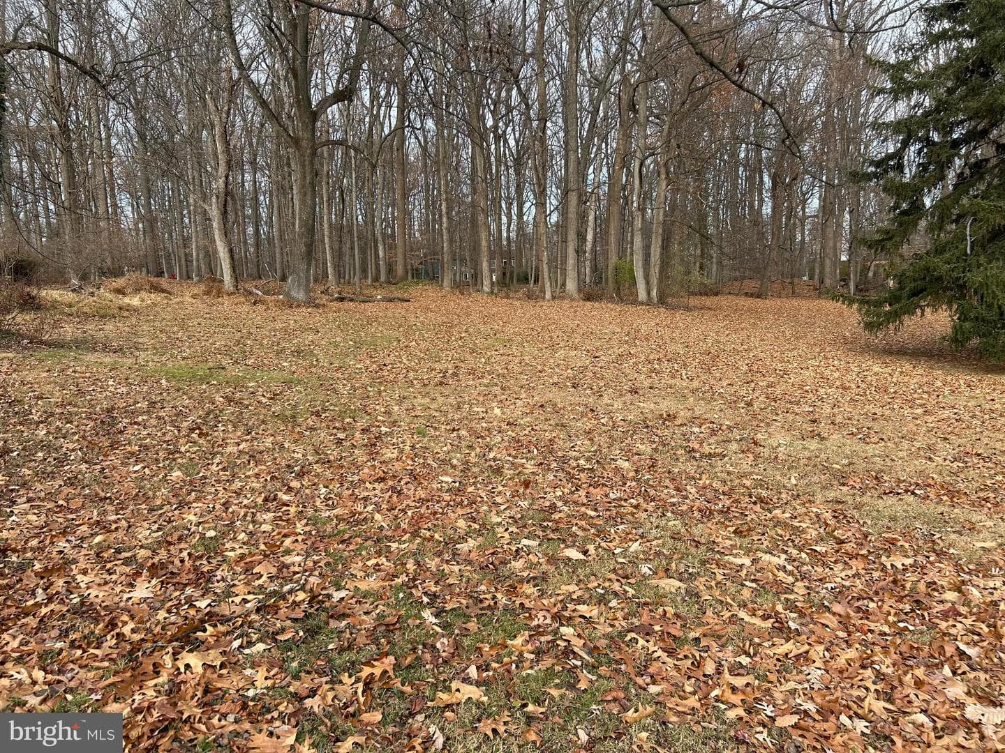 Lot 1 Susan Drive photo 3