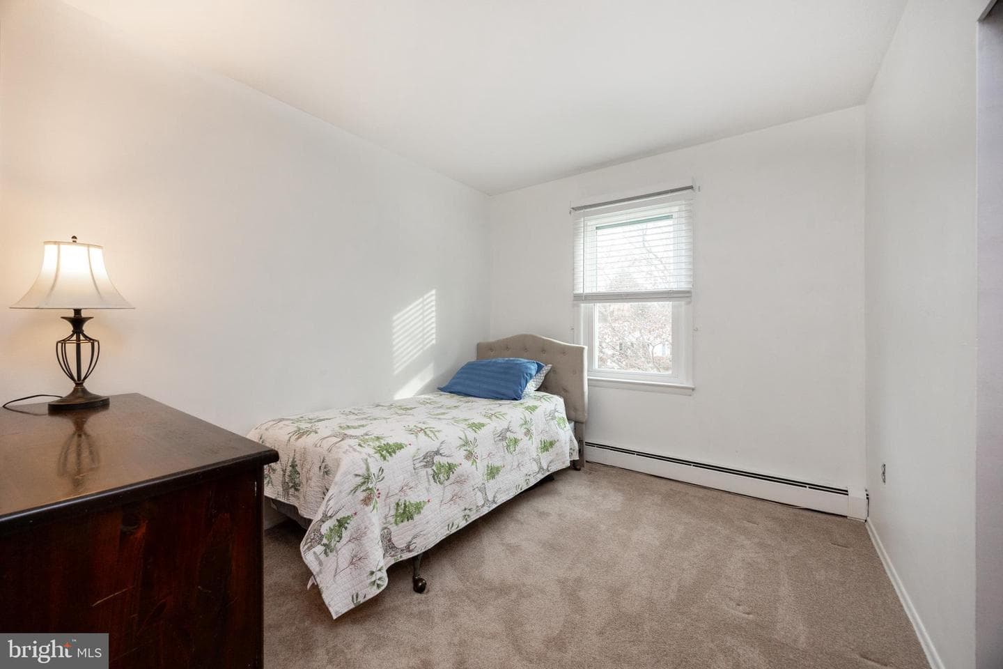 479 Douglas Drive photo 25