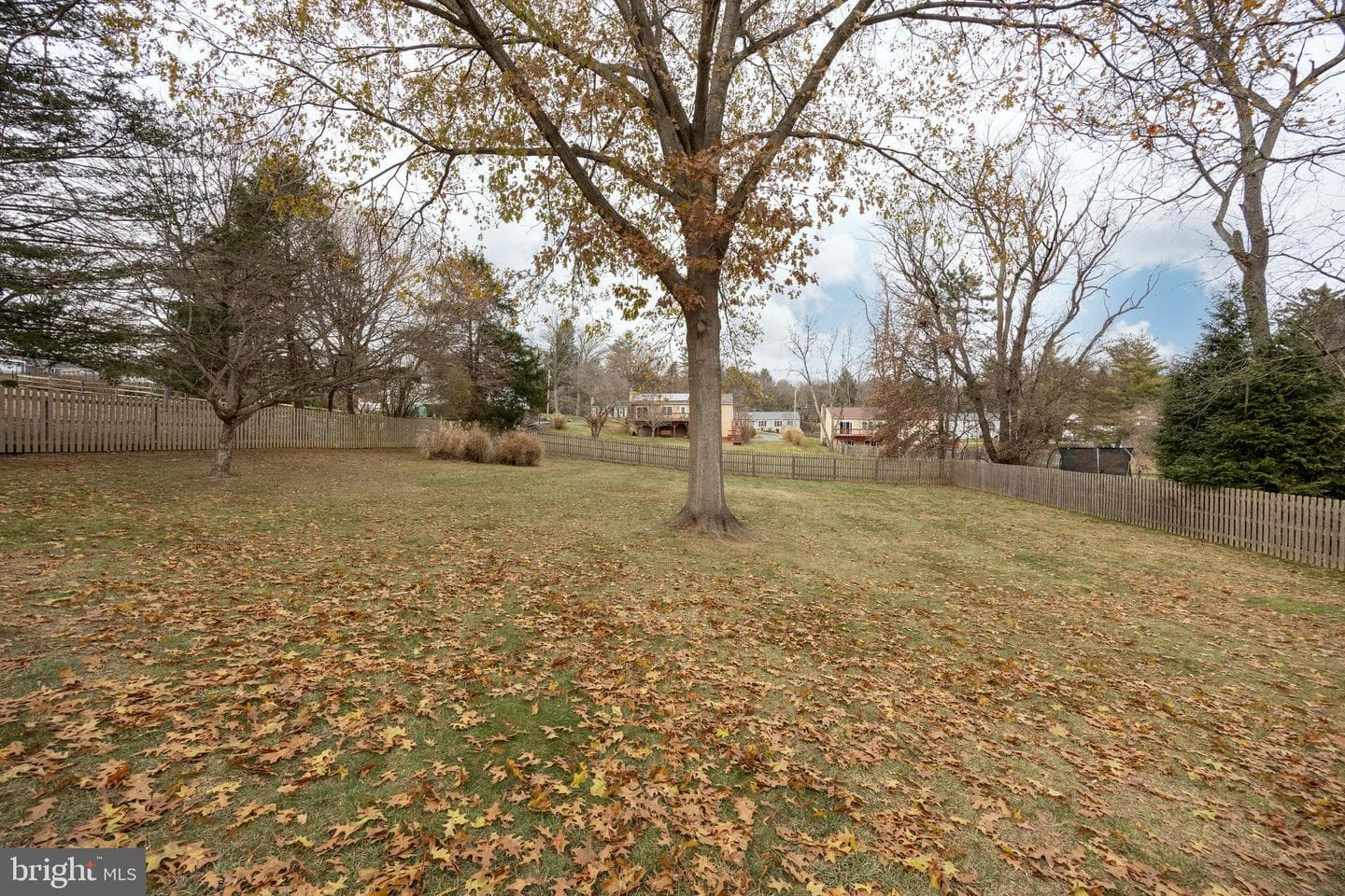 479 Douglas Drive photo 7