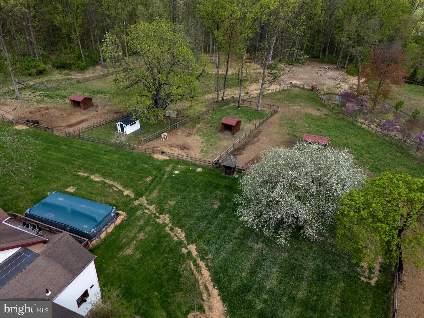 201 Pine Swamp Road photo 4