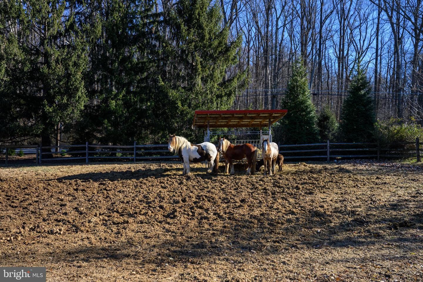 201 Pine Swamp Road photo 53