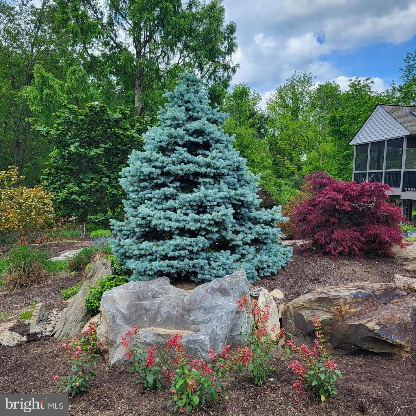 315 Martingale Circle photo 64