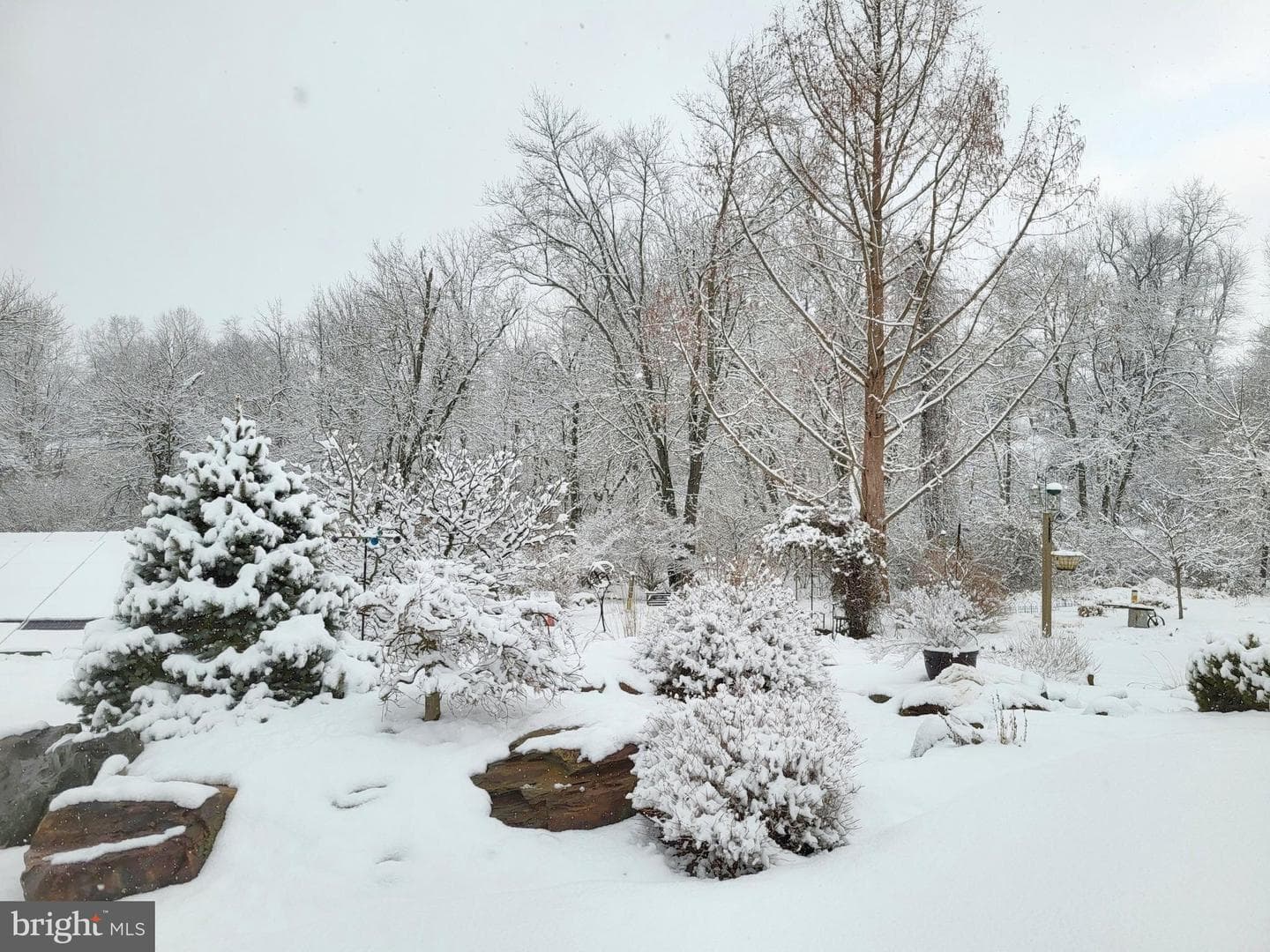 315 Martingale Circle photo 66