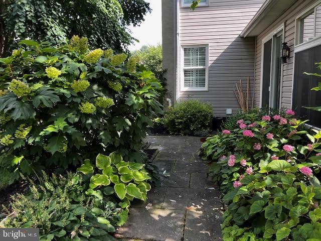 820 Waverly Road photo 45