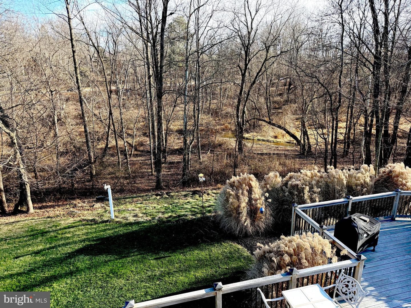 804 Plumtry Drive photo 44