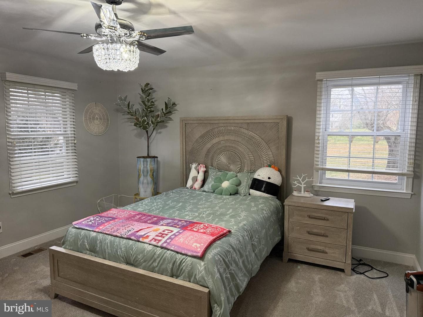 239 Heather Ridge Circle photo 20