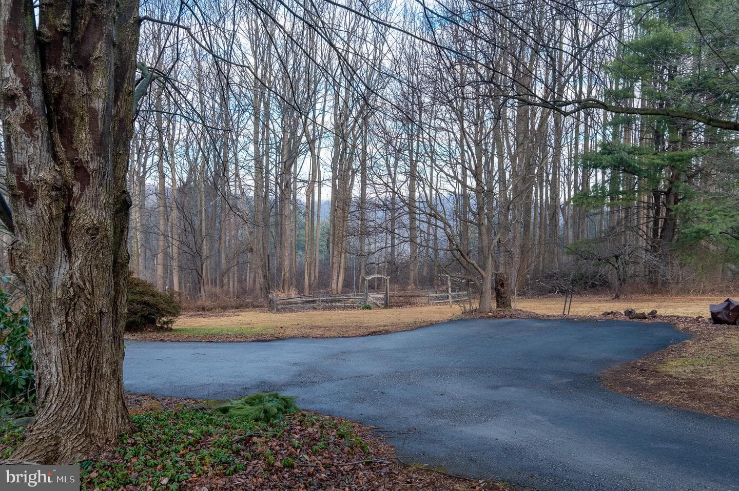 12 Phillips Lane photo 14