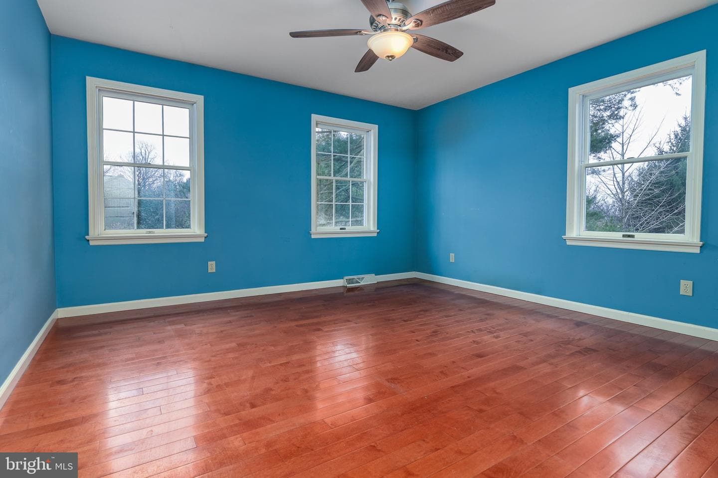 12 Phillips Lane photo 35