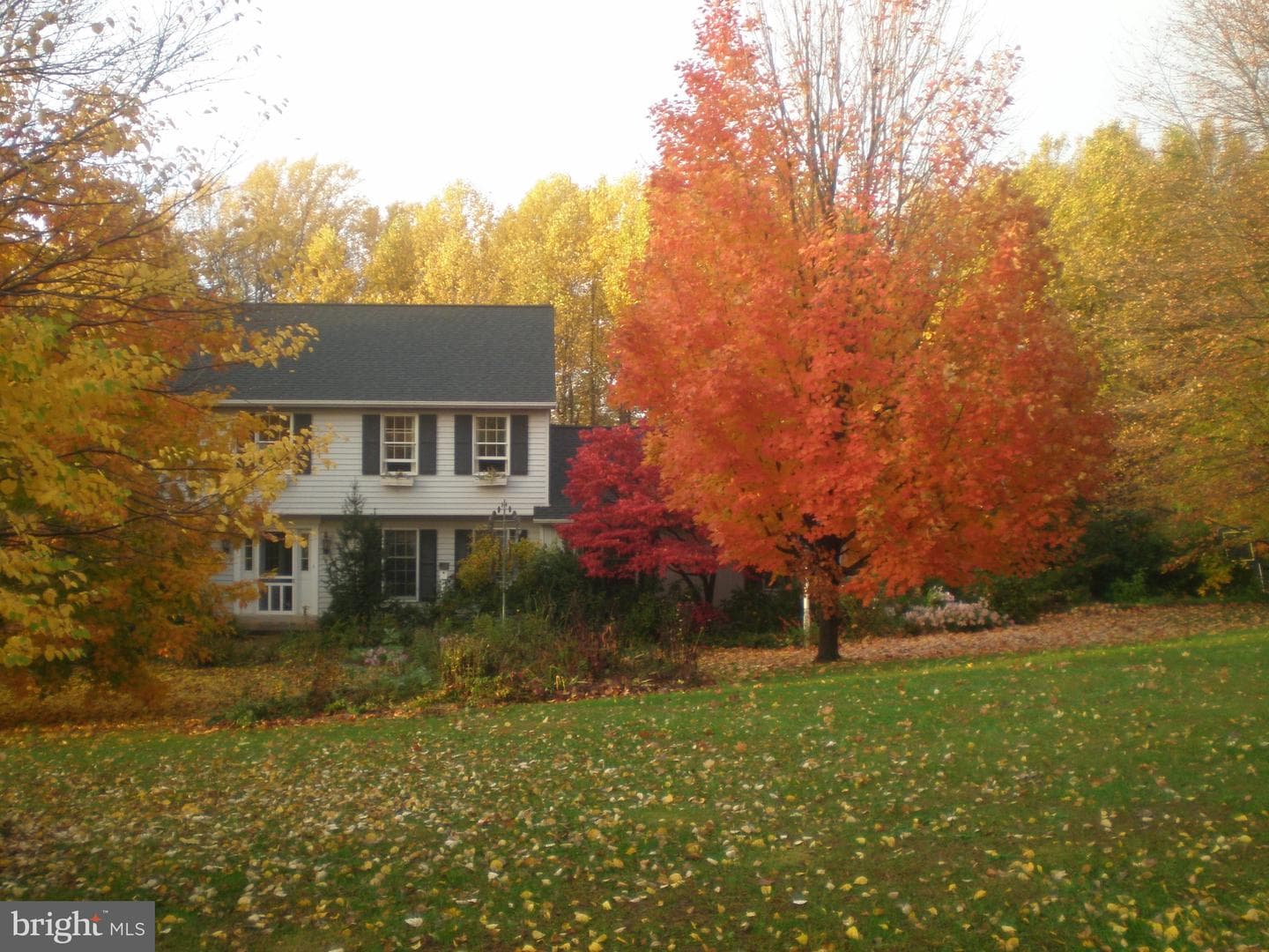 12 Phillips Lane photo 49