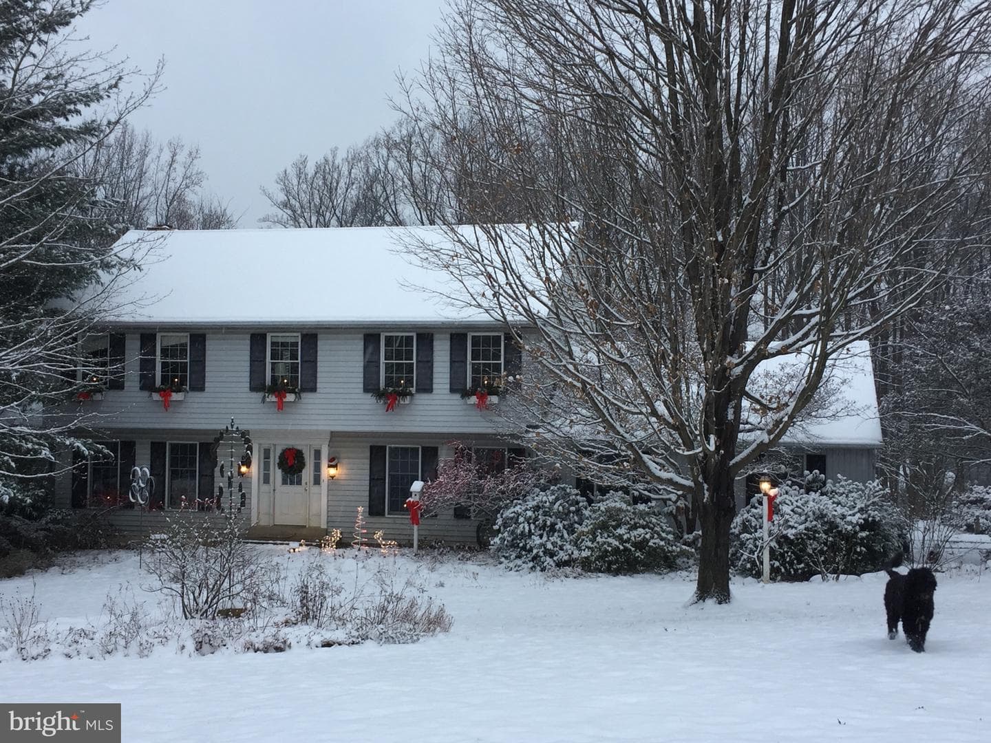 12 Phillips Lane photo 52