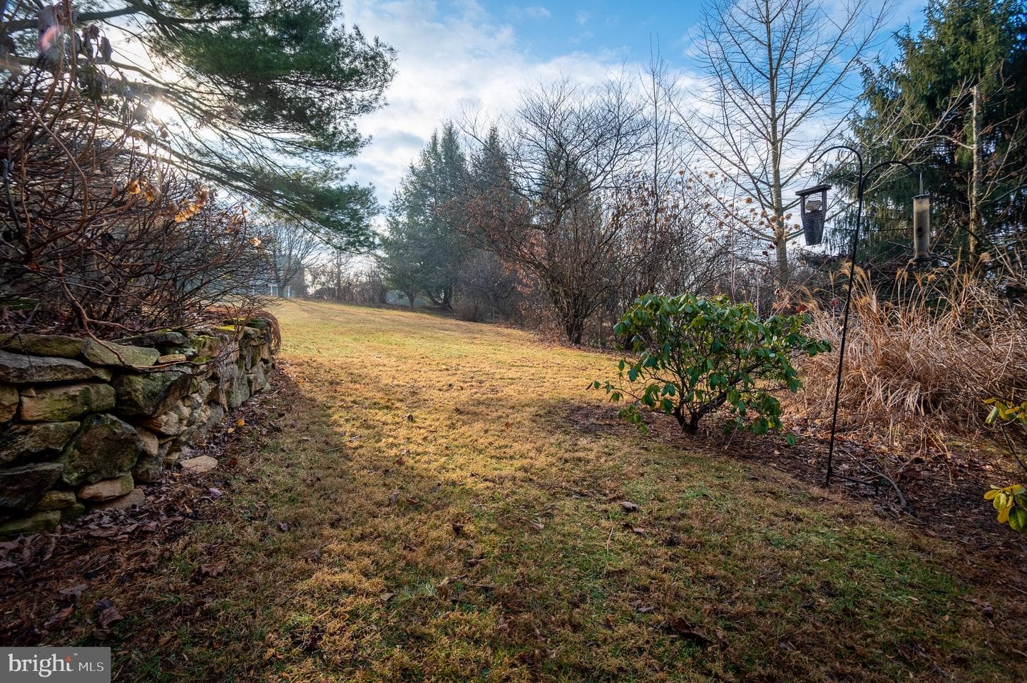 12 Phillips Lane photo 8