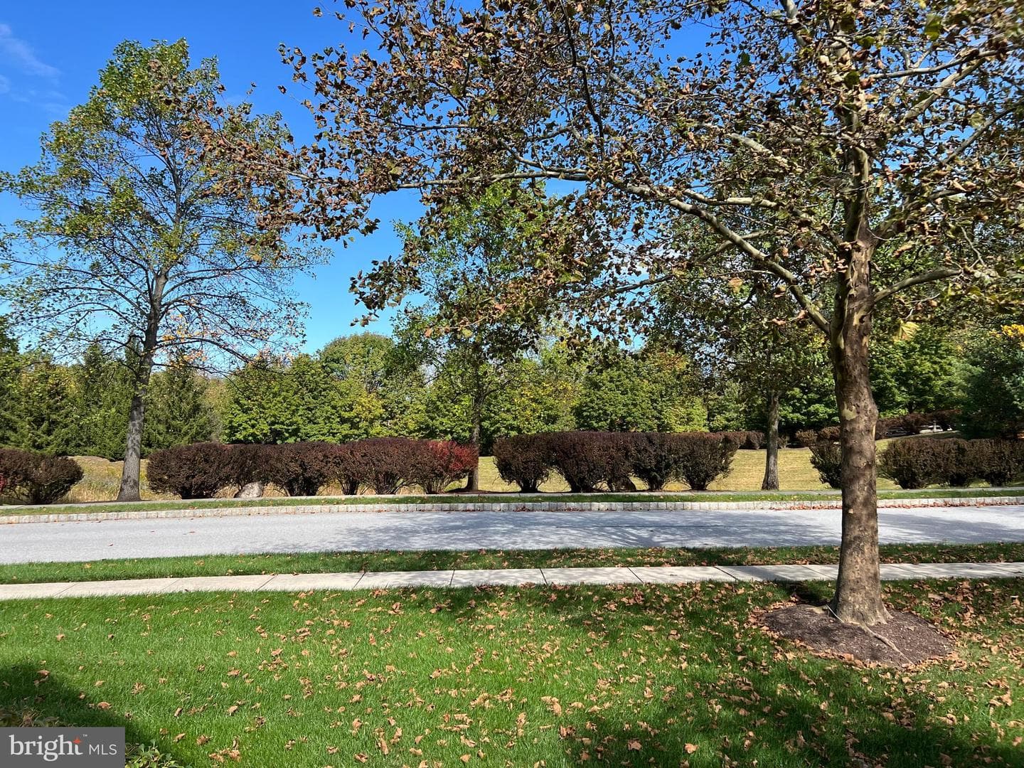 11 Ashtree Lane photo 7