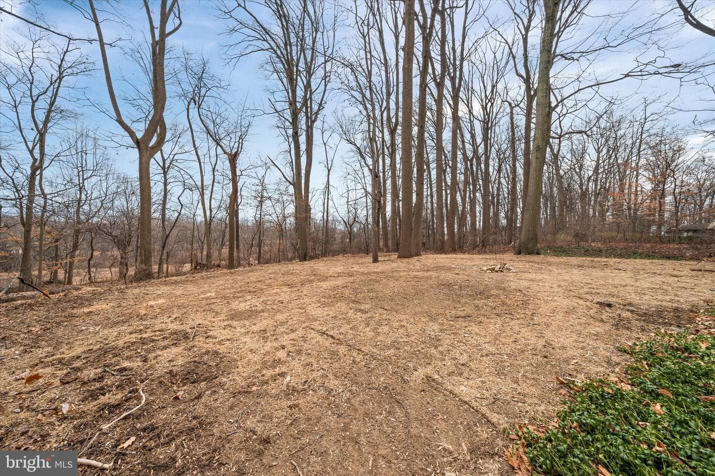 119 Stoney Ridge Road photo 11