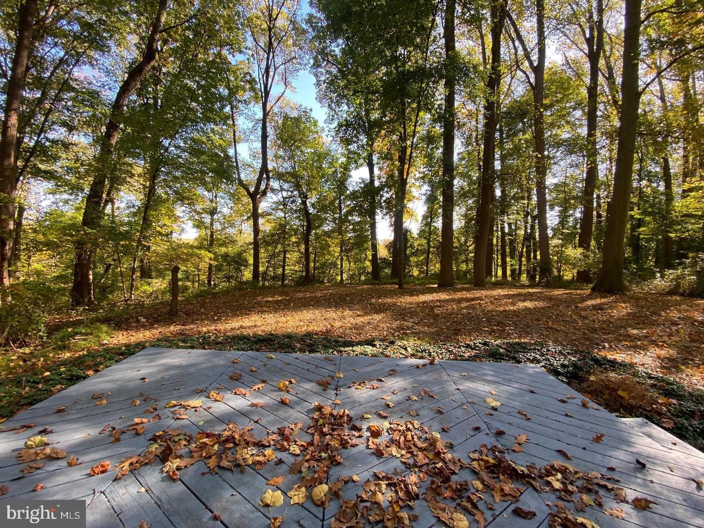 119 Stoney Ridge Road photo 60