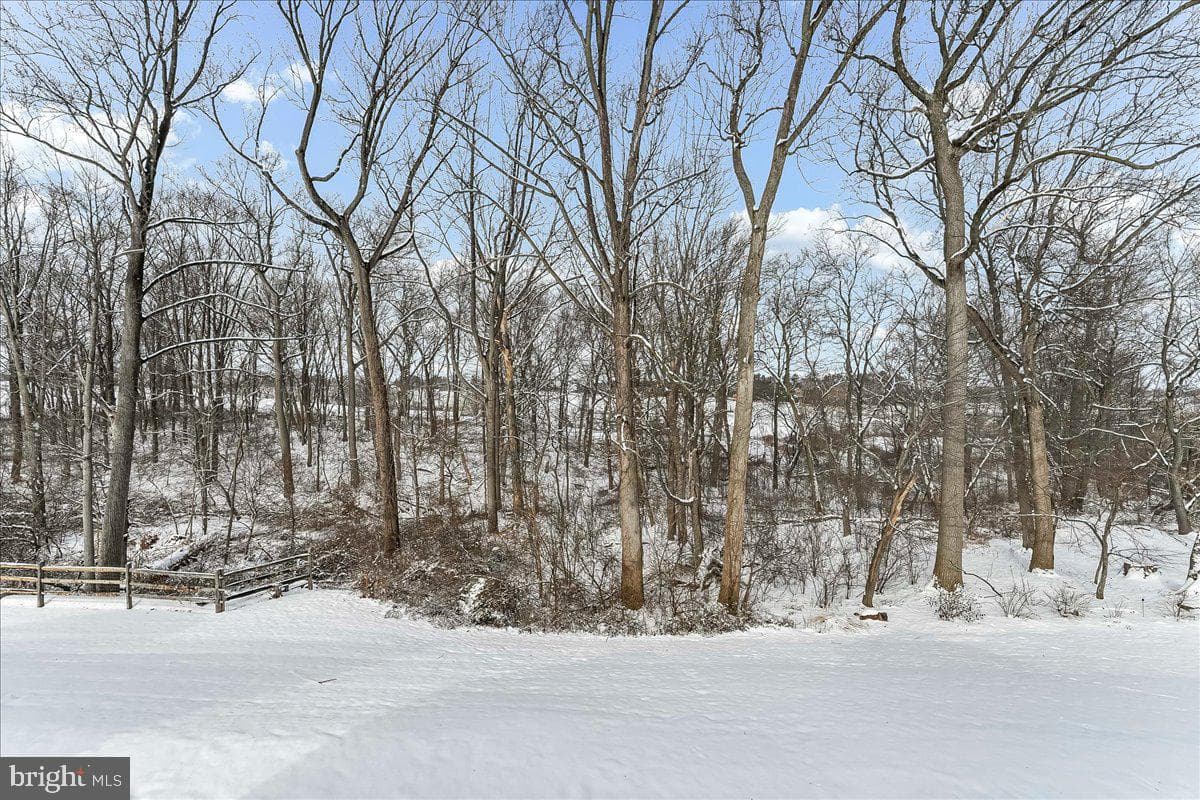 254 Honeycroft Boulevard photo 30