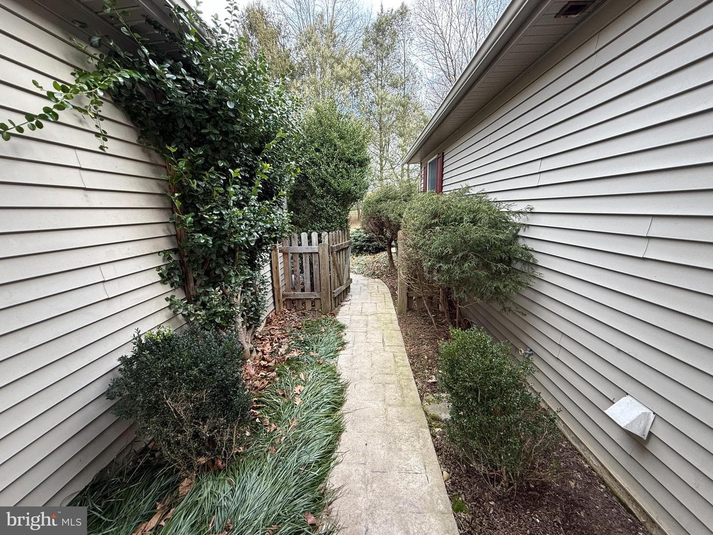 839 Frank Road photo 30