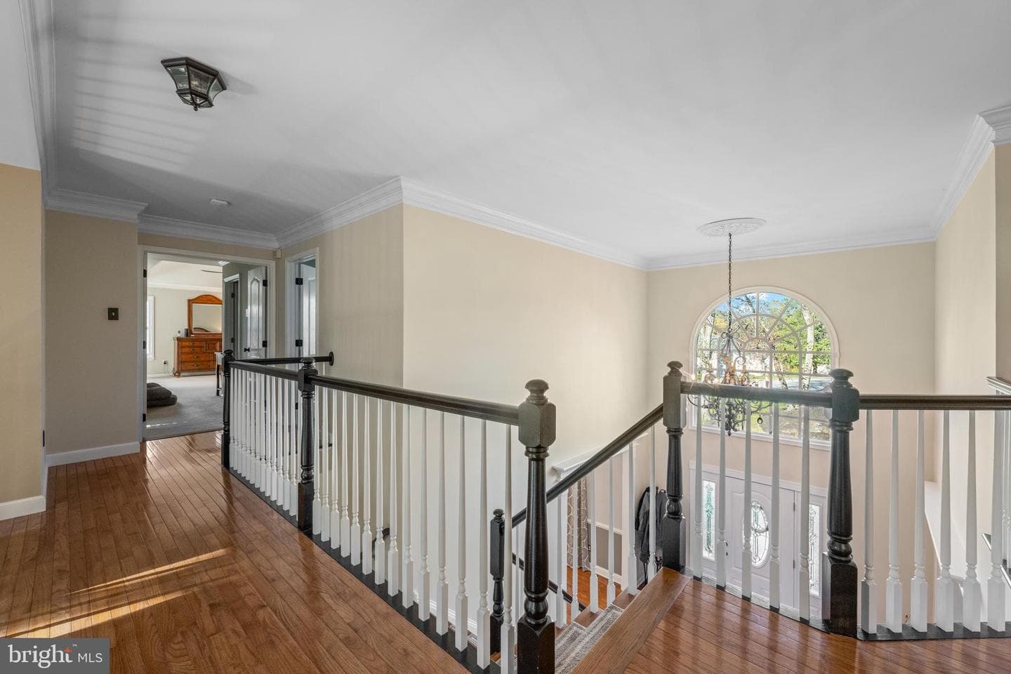 50 Founders Way photo 26